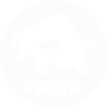Dach-, Solar- und Fassadensysteme aus Aluminium | PREFA Aluminiumprodukte GmbH PREFA Aluminiumprodukte GmbH Logo
